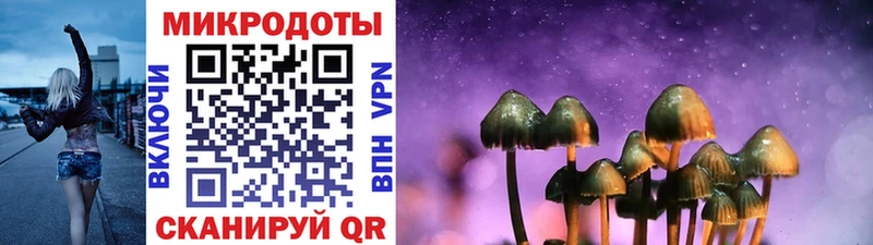Псилоцибиновые грибы мицелий Плёс